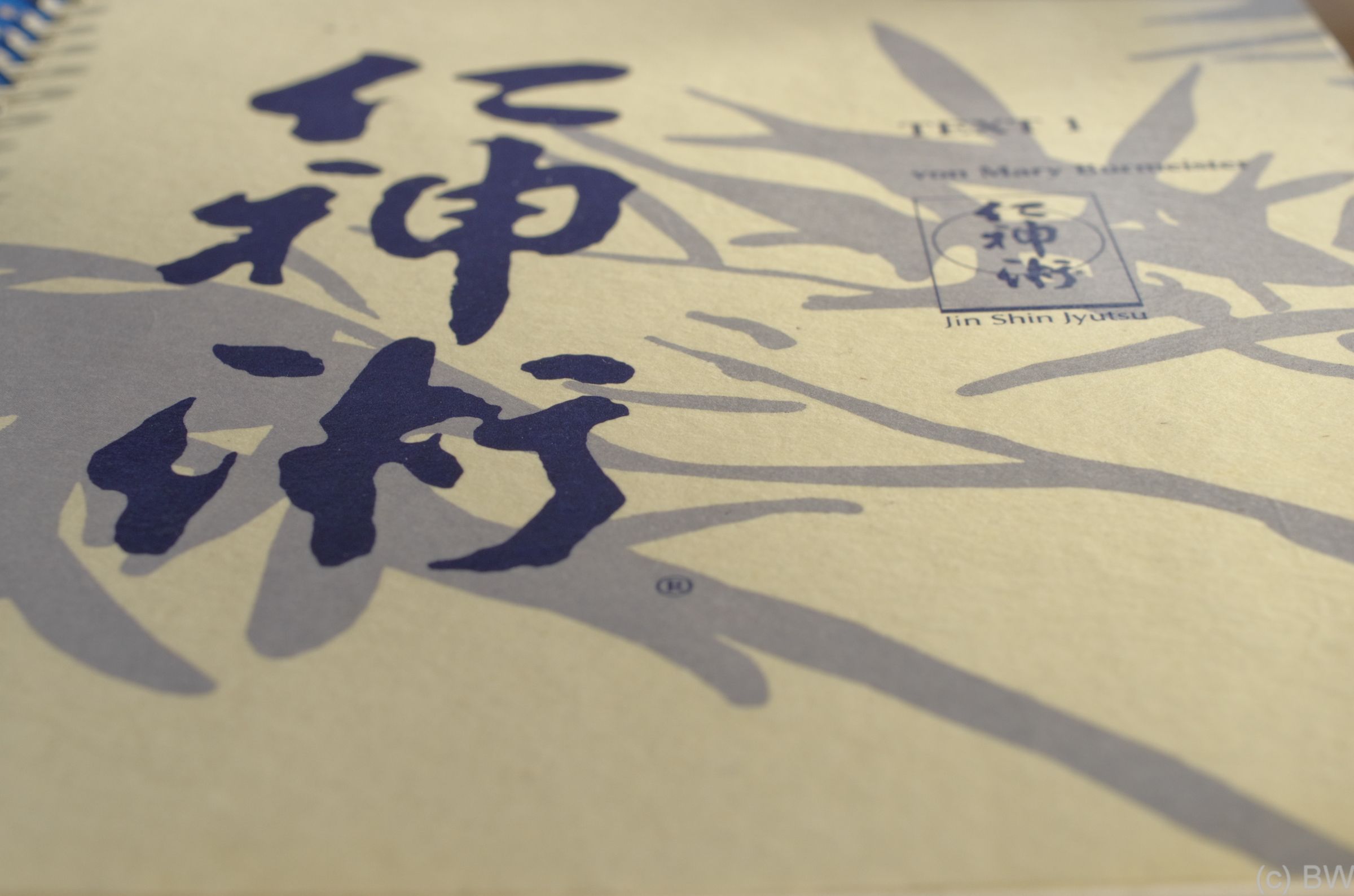 Jin Shin Jyutsu Physio-Philosophie Jin Shin Jyutsu