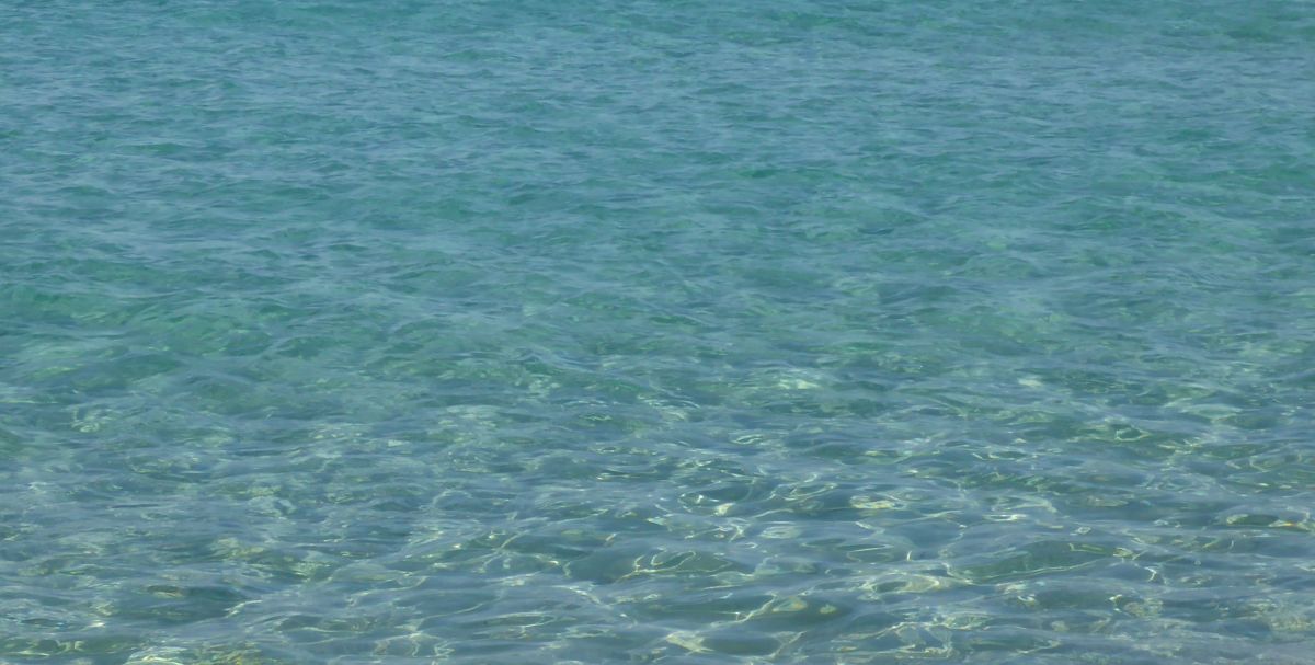 Wasser Wasser